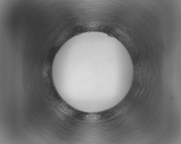 X0000075370225200610061821