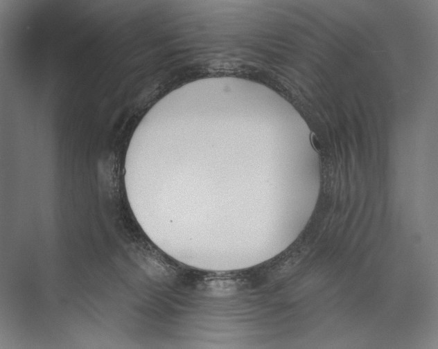 X0000075370228200610061821