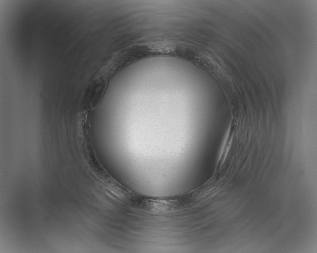 X0000075370229200610061821