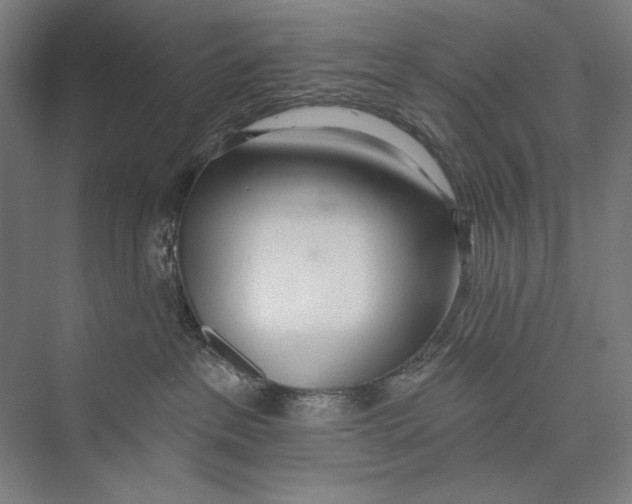 X0000075370237200610061821