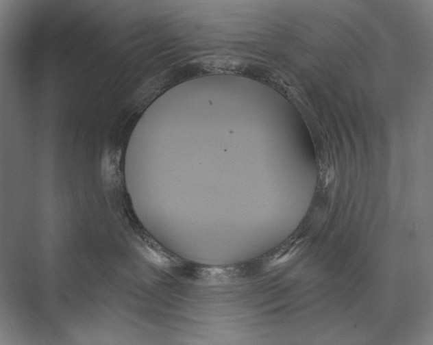X0000075370239200610061821