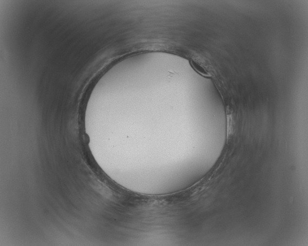 X0000075370243200610061820