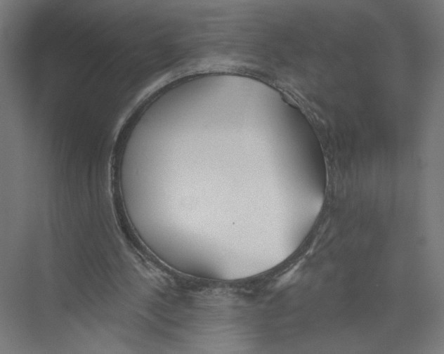 X0000075370244200610061820