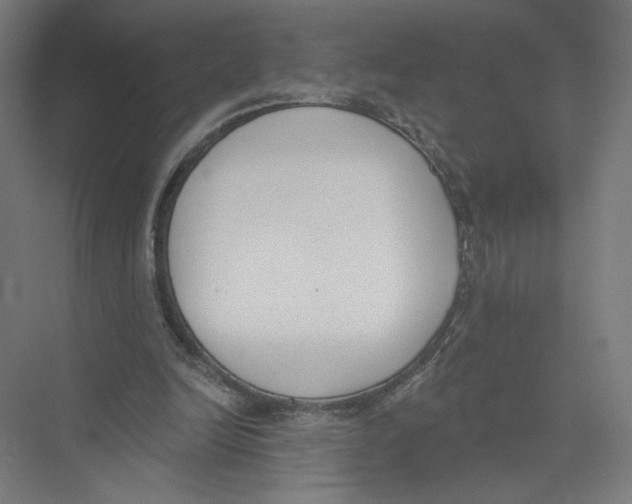 X0000075370246200610061820