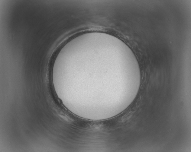 X0000075370247200610061820