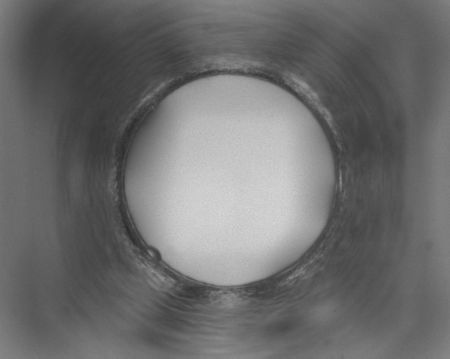 X0000075370249200610061820