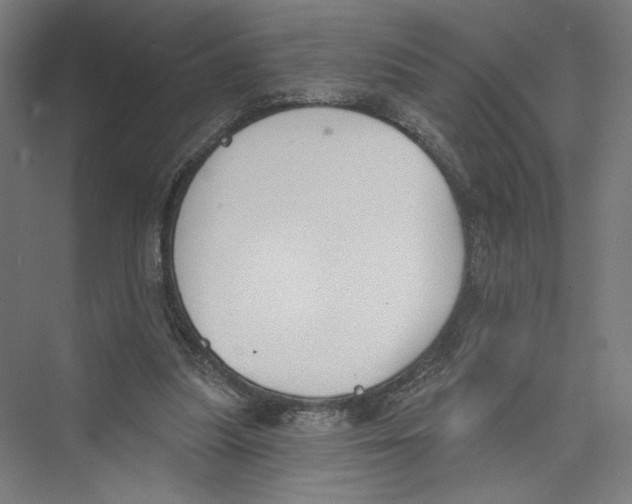 X0000075370251200610061820