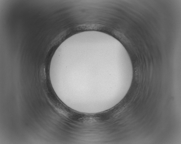 X0000075370254200610061820
