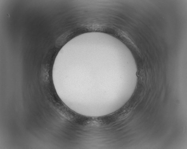 X0000075370259200610061820
