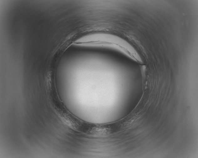 X0000075370260200610061820