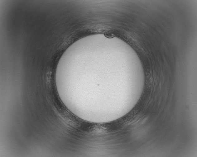 X0000075370263200610061820