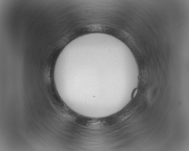 X0000075370267200610061820