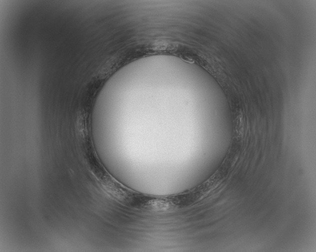 X0000075370272200610061820