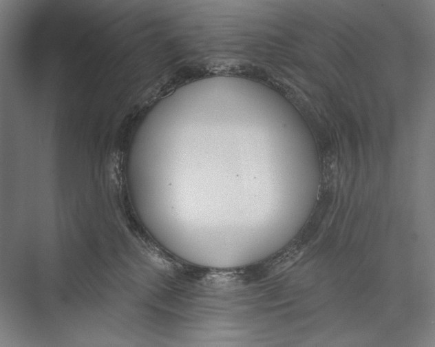X0000075370280200610061821