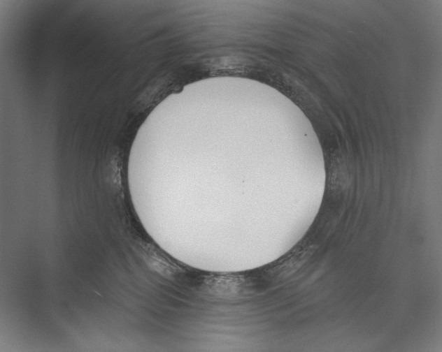 X0000075370282200610061821