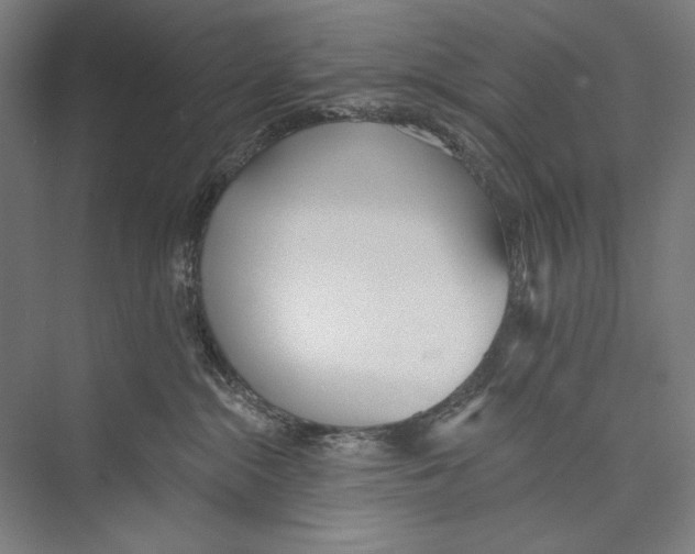 X0000075370284200610061821