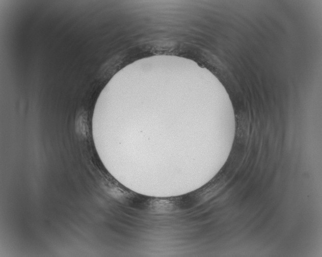 X0000075370287200610061821