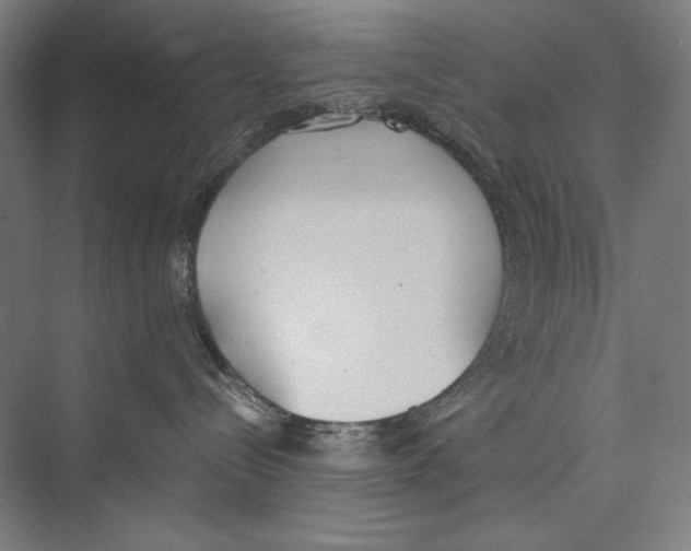 X0000075370288200610061821