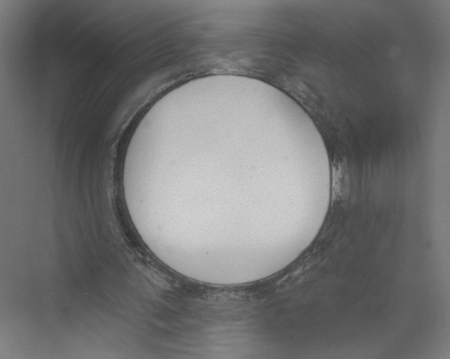 X0000075370291200610061820