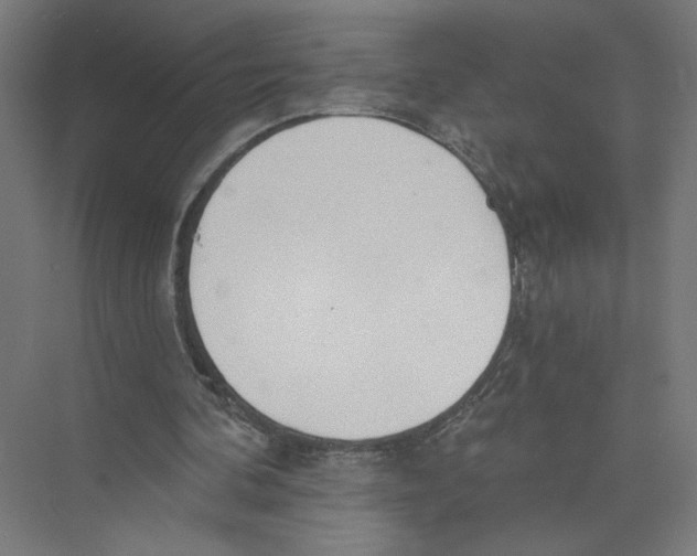 X0000075370292200610061820