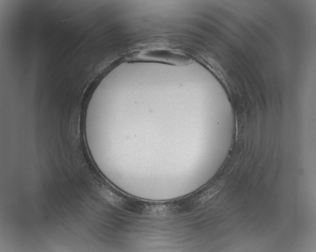 X0000075370301200610061820