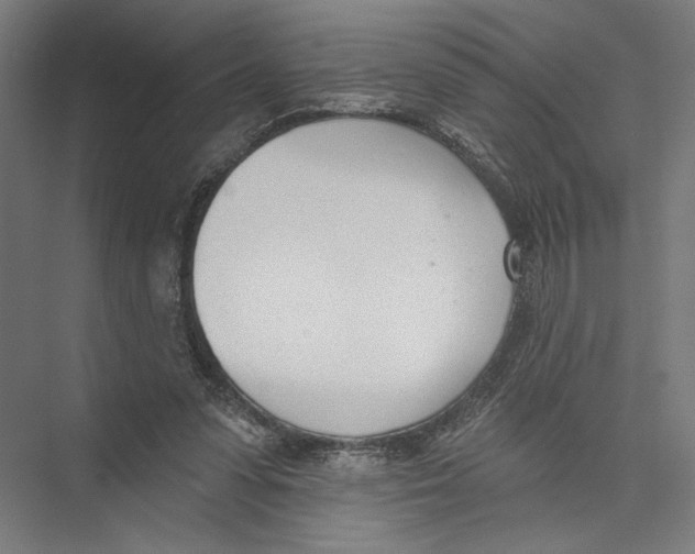 X0000075370303200610061820