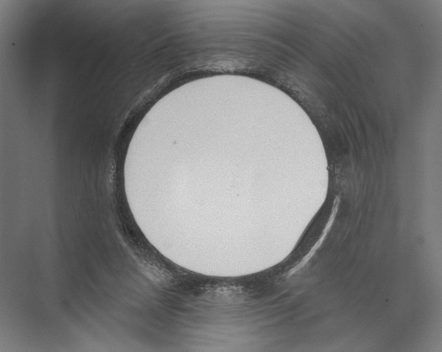 X0000075370304200610061820