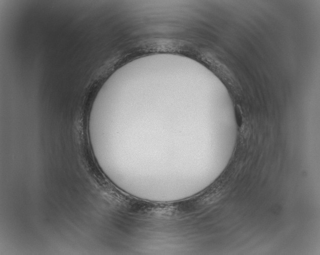 X0000075370306200610061820