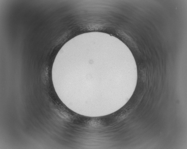 X0000075370308200610061820