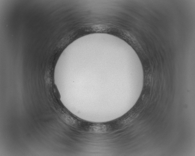 X0000075370317200610061819