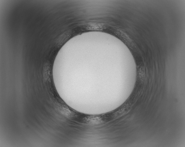 X0000075370322200610061819