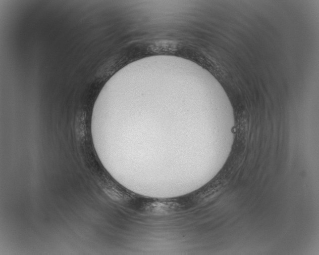 X0000075370323200610061819