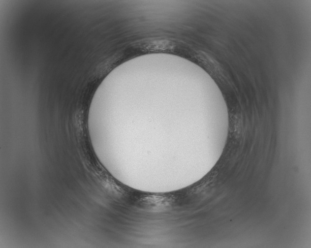 X0000075370326200610061819