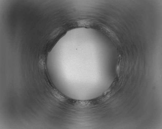 X0000075370329200610061819
