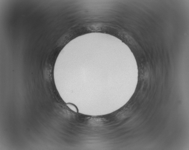 X0000075370332200610061819
