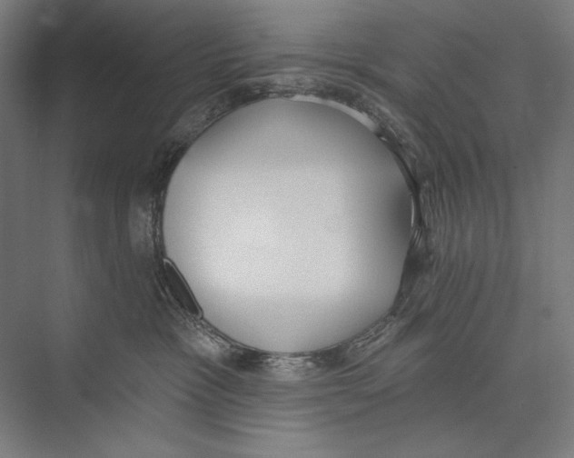 X0000075370333200610061819