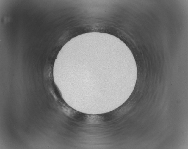 X0000075370336200610061819