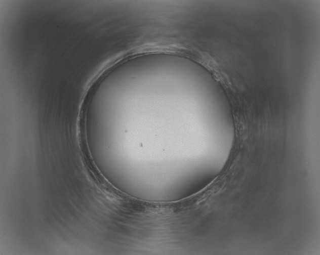 X0000075370340200610061818