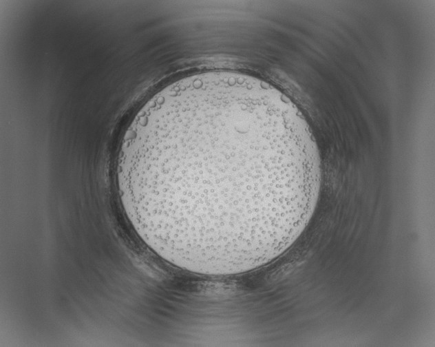 X0000075370347200610061818