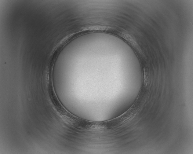 X0000075370348200610061818