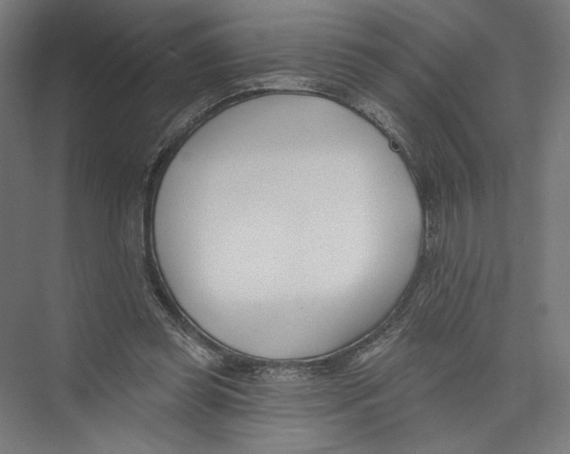 X0000075370349200610061818