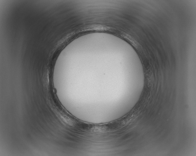 X0000075370350200610061818