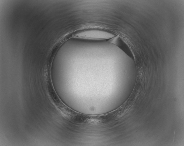 X0000075370352200610061819
