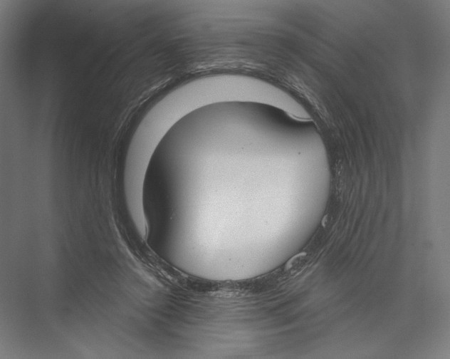 X0000075370356200610061819