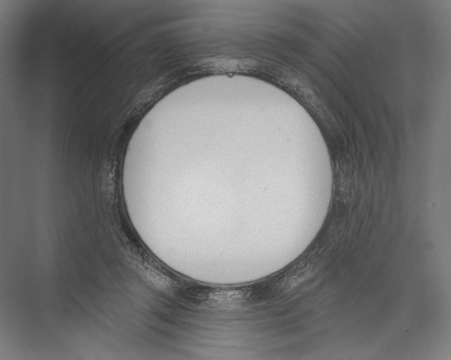 X0000075370357200610061819