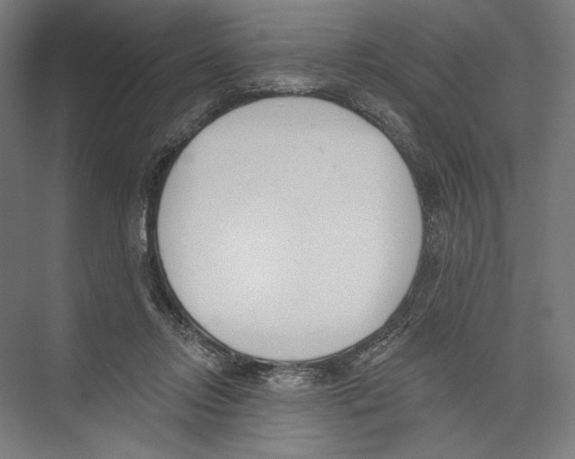 X0000075370358200610061819
