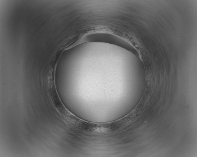 X0000075370360200610061819