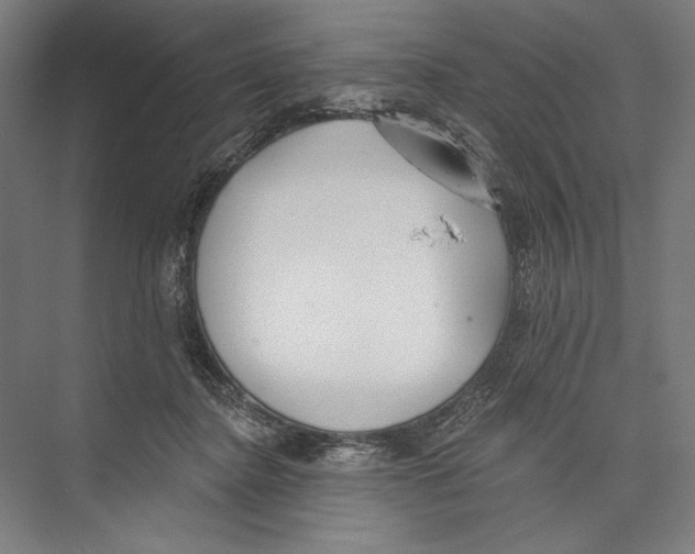 X0000075370364200610061819