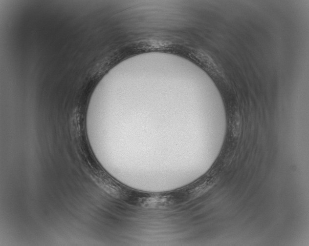 X0000075370366200610061819