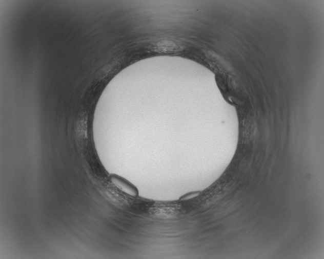 X0000075370368200610061819